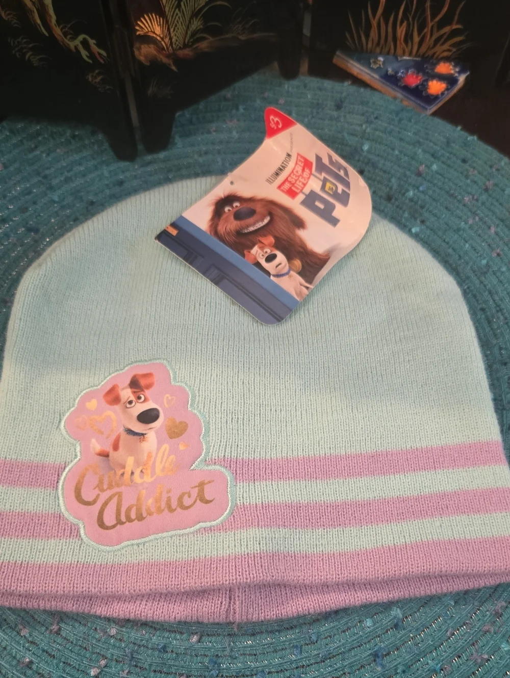 The Secret Life of Pets Kids Beanie - Mint & Lavender